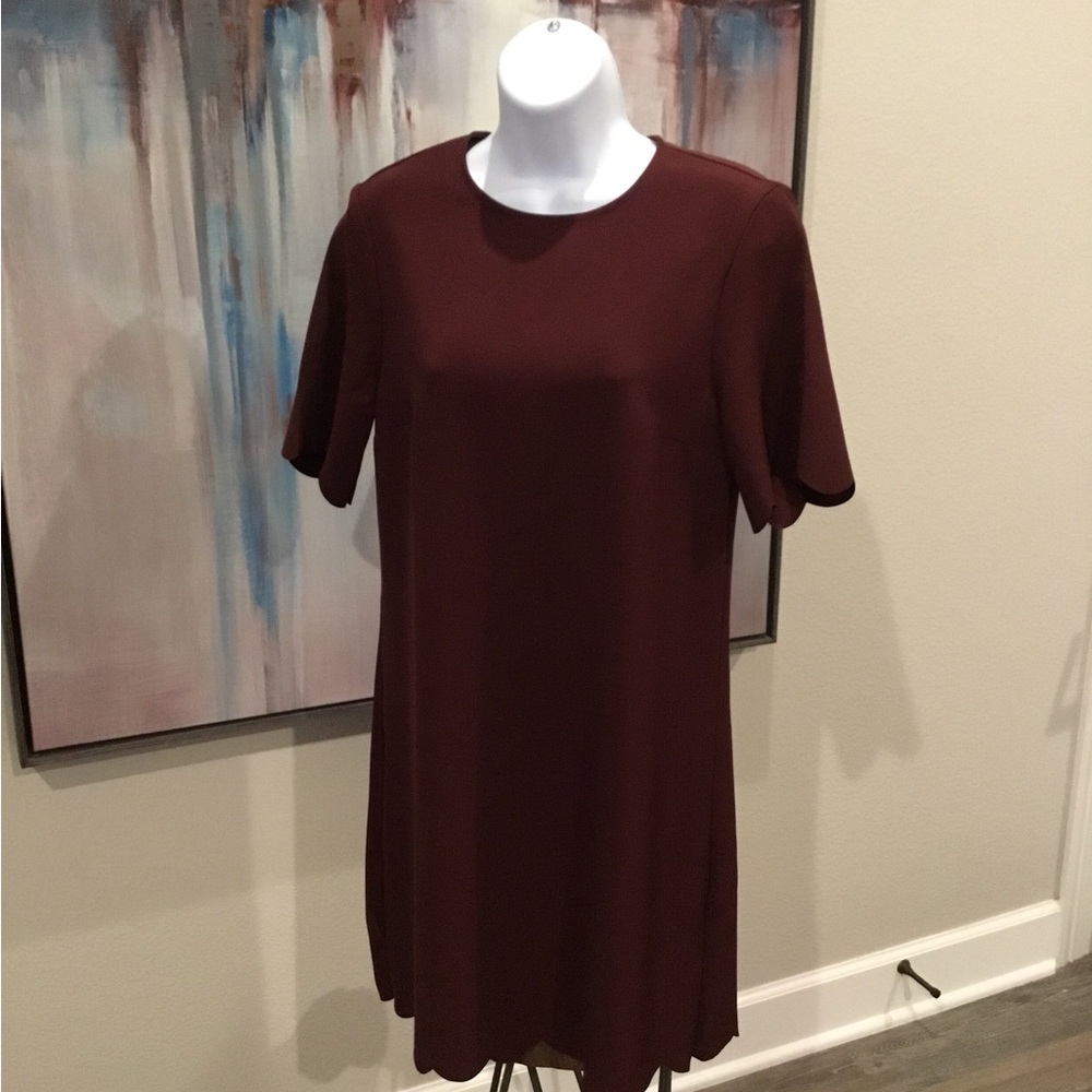 H&M Simple Short Sleeve Shift Dress in Deep Burgundy Wm Sz S